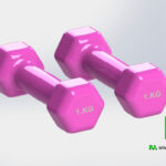 Dumbbell Hand Weights 3D Model