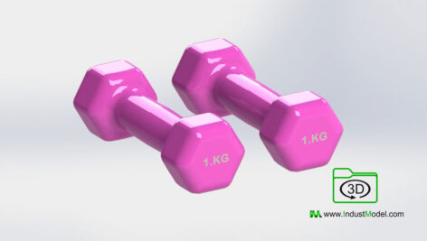 Dumbbell Hand Weights 3D Model